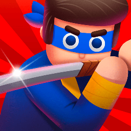 Bay Ninja - Dilimli Bulmacalar